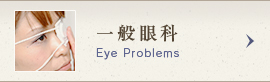 一般眼科